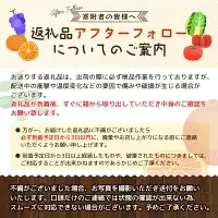 バレンシアオレンジ 4㎏ 【2026年7月中旬頃より順次発送】 / みかん ミカン 蜜柑 バレンシアオレンジ オレンジ 和歌山 田辺市 紀州 くだもの 柑橘 フルーツ 【aoi009】