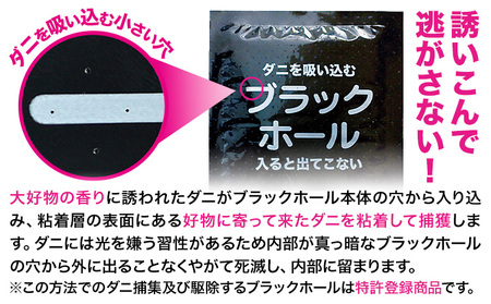 ダニ 対策 ダニ取り パック ブラックホール 10個
