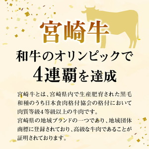【定期便隔月3回】宮崎牛 普段使い定期便 N0140-YD0268