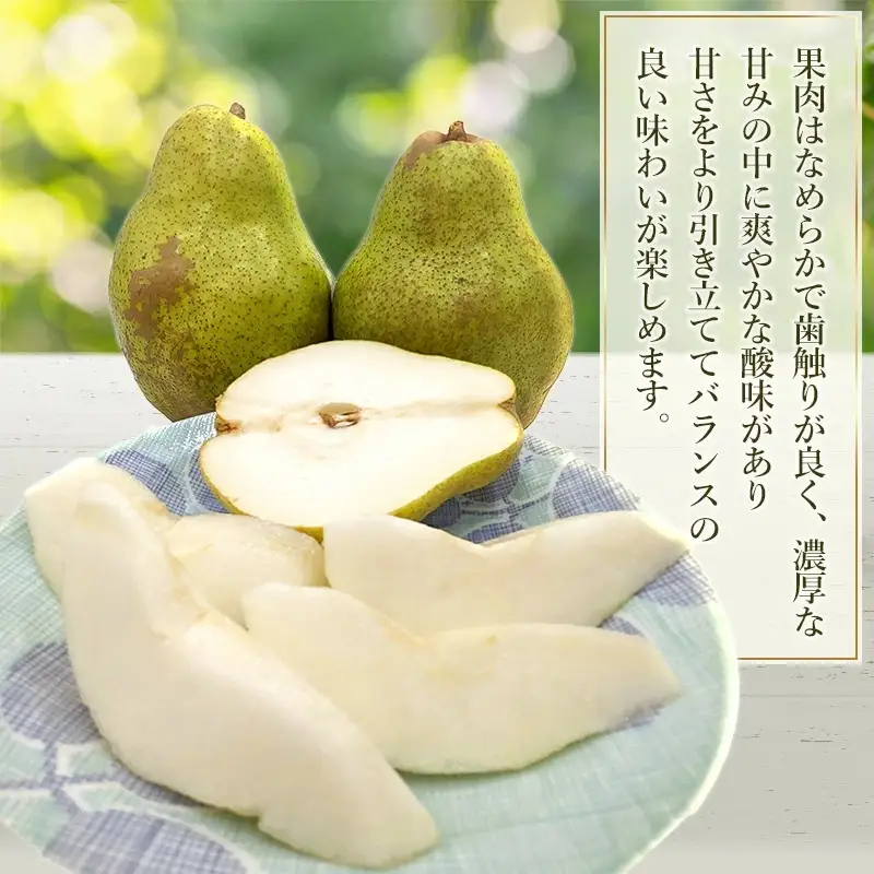 【令和8年産先行予約】シルバーベル（洋梨）約3kg（5～12玉入）　山形県鶴岡市　庄内産直センター　| 洋なし 洋ナシ 果物 くだもの フルーツ 旬 産地直送 期間限定 人気 美味しい お取り寄せ 庄内 東北 返礼品