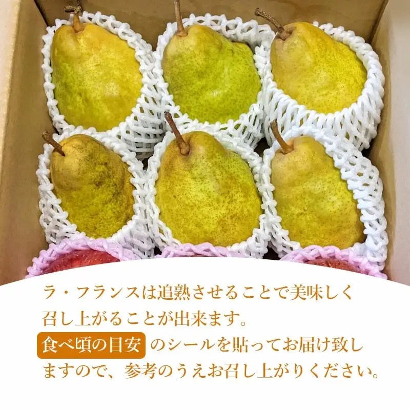 【令和8年産先行予約】ラ・フランス＆ふじりんごセット　約3kg（10～12玉入）　山形県鶴岡市　庄内産直センター　| ラフランス 洋梨 洋なし りんご 林檎 リンゴ 果物 くだもの フルーツ 旬 期間限定 産地直送 人気 美味しい お取り寄せ 庄内 東北 返礼品