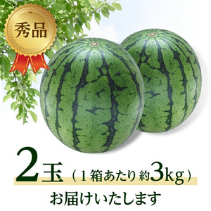 SA2949　庄内の美味しい 小玉すいか 秀品　約3kg(2玉入)