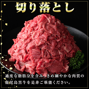 【C01010】＜定期便・全3回(隔月)＞満足便 鹿児島黒牛切り落とし(約1kg×3回・計約3kg)牛肉専門店自慢 鹿児島 国産 九州産 黒牛 鹿児島黒牛 切り落し 切落し 切落とし カット スライス 定期便 牛肉 ビーフ カレー 肉じゃが 冷凍 隔月 定期便 ギフト 贈答【新村畜産】