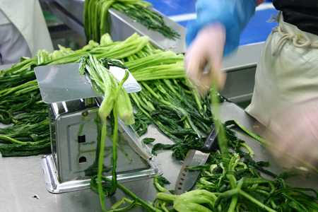 IS01　野沢菜・大根の漬物 詰め合わせ（6種類・7品） // 長野県 信州 漬け物 お漬物 野沢菜 大根 野沢菜漬け たくあん 浅漬け 塩漬け お茶請け ご飯のお供 贈答 ギフト