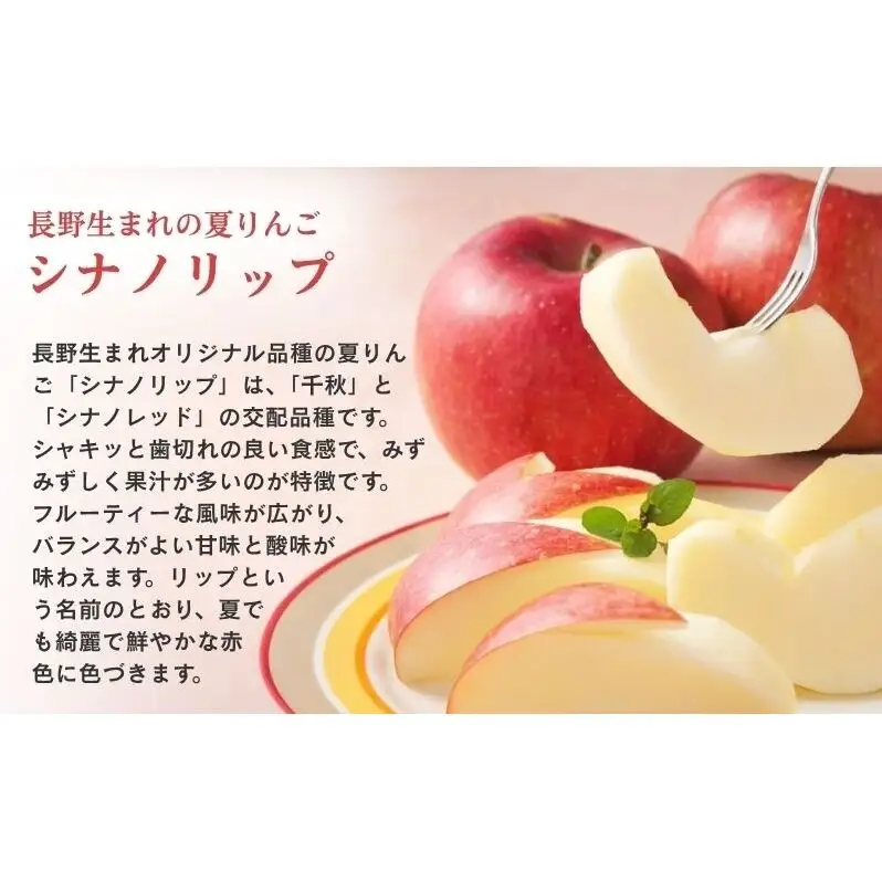 りんご 長野 贈答用 リンゴ シナノリップ 約3kg （12玉） 産地直送 ギフト プレゼント 贈答 贈答品 贈り物 フルーツ 果物 デザート おやつ 林檎 旬 信州 長野県 長野県産