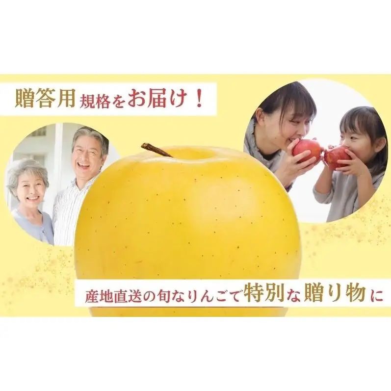 りんご 長野 贈答用 リンゴ ぐんま名月 約4.5kg（14玉～18玉） 産地直送 ギフト プレゼント 贈答 贈答品 贈り物 蜜 フルーツ 果物 デザート 林檎 秋 旬 信州 長野県