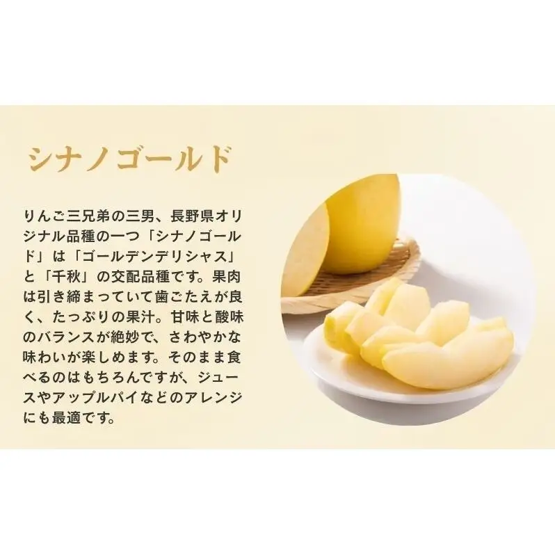 りんご 長野 贈答用 リンゴ シナノゴールド 約4.5kg（14玉～18玉） 産地直送 ギフト プレゼント 贈答 贈答品 贈り物 フルーツ 果物 デザート おやつ 秋 旬 信州 長野県