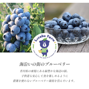 ブルーベリー Lucaho Farm 100g×5p 香川県産 冷凍ブルーベリー 冷凍ブルーベリー フルーツ 果物 くだもの 旬のフルーツ 旬の果物 冷凍 香川 香川県 東かがわ市