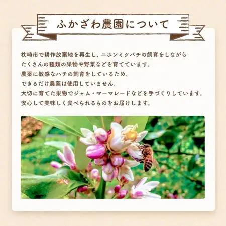 【父の日】ふかざわ農園の梅シロップ 手づくり シロップ ジュース 希釈用 A3-27F_飲料・ドリンク  果汁飲料 _【配送不可地域：離島】【1500170】