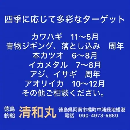徳島清和丸 阿南沖釣り船 割引チケット_旅行券・チケット 釣り 体験チケット _【1460807】