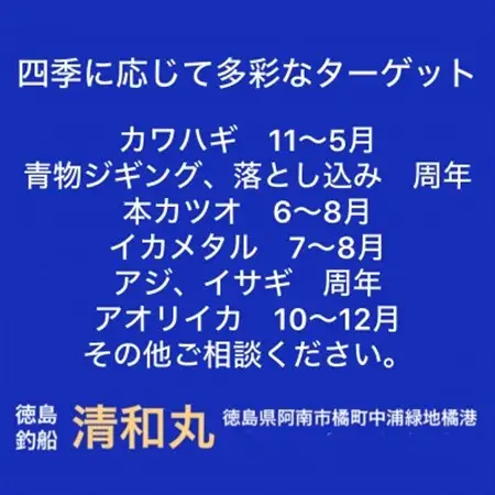 徳島清和丸 阿南沖釣り船 割引チケット×5枚セット_旅行券・チケット 釣り 体験チケット _【1494667】