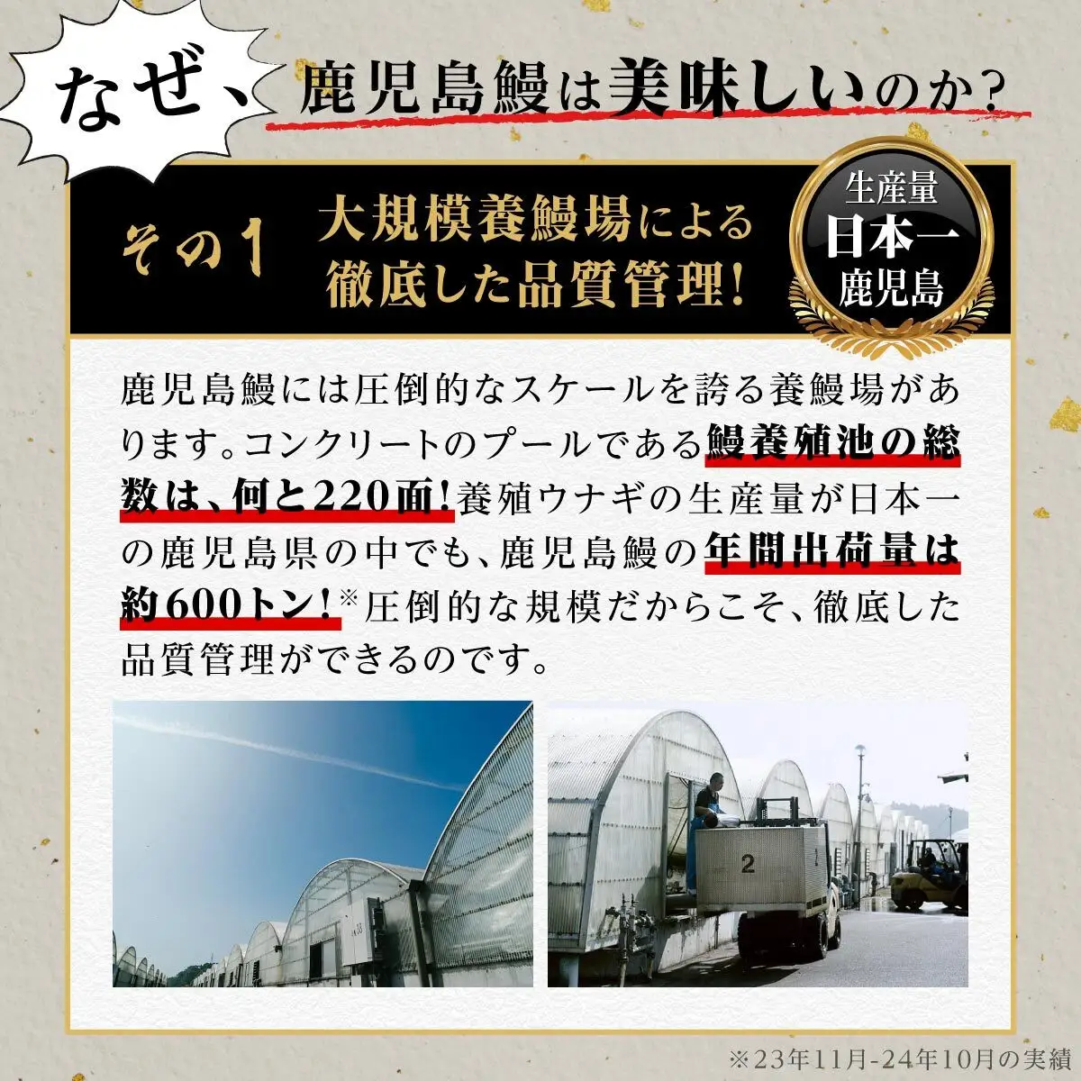 【3回定期】うなぎ 蒲焼 160g×2尾【鹿児島産】地下水で育てた絶品鰻｜うなぎ