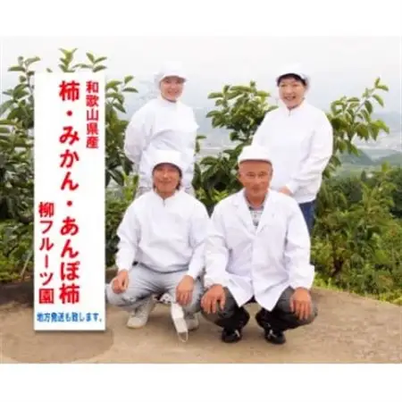 柿【先行受付】柳フルーツ園 富有柿 約4kg L/2Lサイズのみ 箱入り お供えや贈答品にも!_果物・フルーツ 柿（カキ）  かき_【1362150】