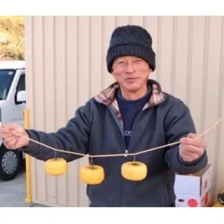 【先行受付】柳フルーツ園 干し柿セット 約2kg_果物・フルーツ 柿（カキ）  かき_【1457263】
