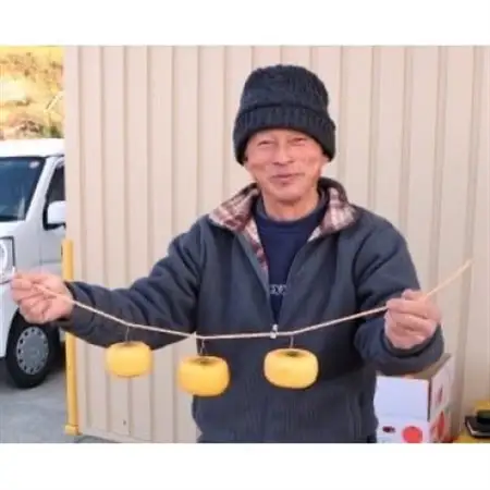 【先行受付】柳フルーツ園 干し柿セット 約7kg_果物・フルーツ 柿（カキ）  かき_【1457277】