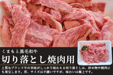 【G1認証】くまもと黒毛和牛 切り落とし 500g ブランド 牛肉 贅沢 切り落とし 熊本県産 熊本 肉 高級 黒毛和牛 和牛 熊本 多良木 100-0010