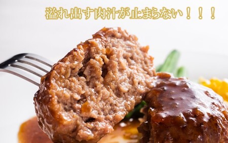 【黒毛和牛】豊後牛ハンバーグ計1.02kg(170g×6個)_2378R