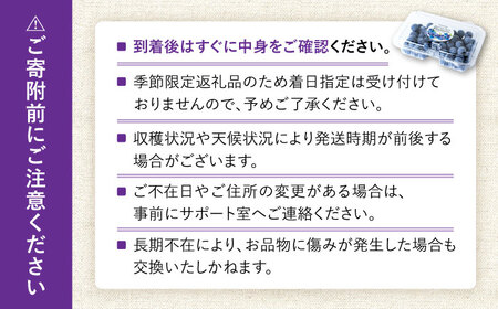 【2026年7月上旬頃より順次発送予定】冷凍ブルーベリー 1kg（250g×4袋）/ ベリー べりー ブルーベリー ぶるーべりー 冷凍 小分け 果物 くだもの フルーツ ふるーつ / 大村市 / おおむら夢ファームシュシュ[ACAA004]