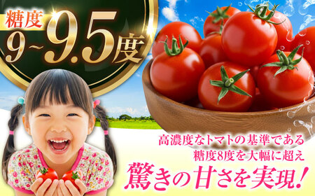 トマト 江田島ロマーノ 2kg トマト[XAB005]