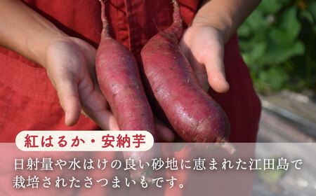 焼酎飲み比べセット 各720ml 焼酎[XAD002]