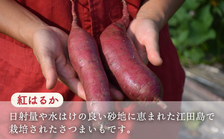 【全3回】芋焼酎紅はるか720ml×2 焼酎[XAD018]