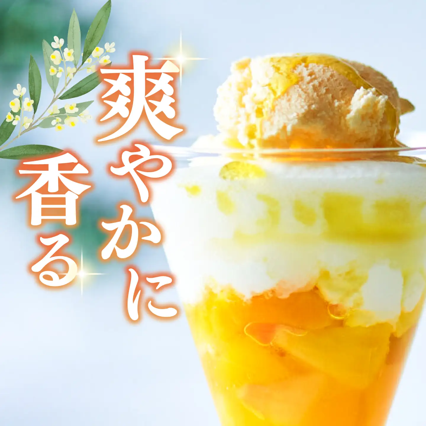 【全6回】オリーブオイル ハッサクオイル オリーブオイル 100mL [XAJ027]