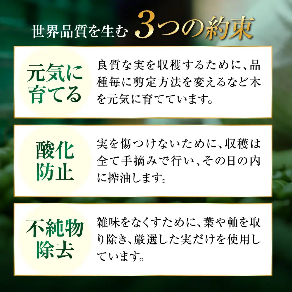 【全3回】オリーブオイル ピュアオイル 2本セット オリーブオイル [XAJ050]