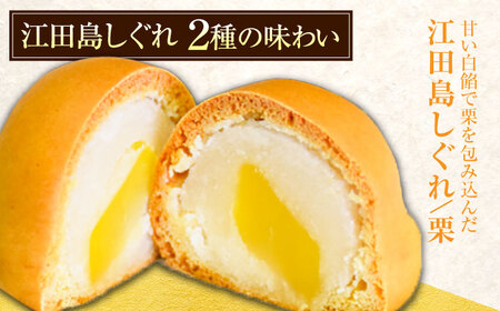 和菓子 江田島しぐれ10個 饅頭 和菓子[XAV003]