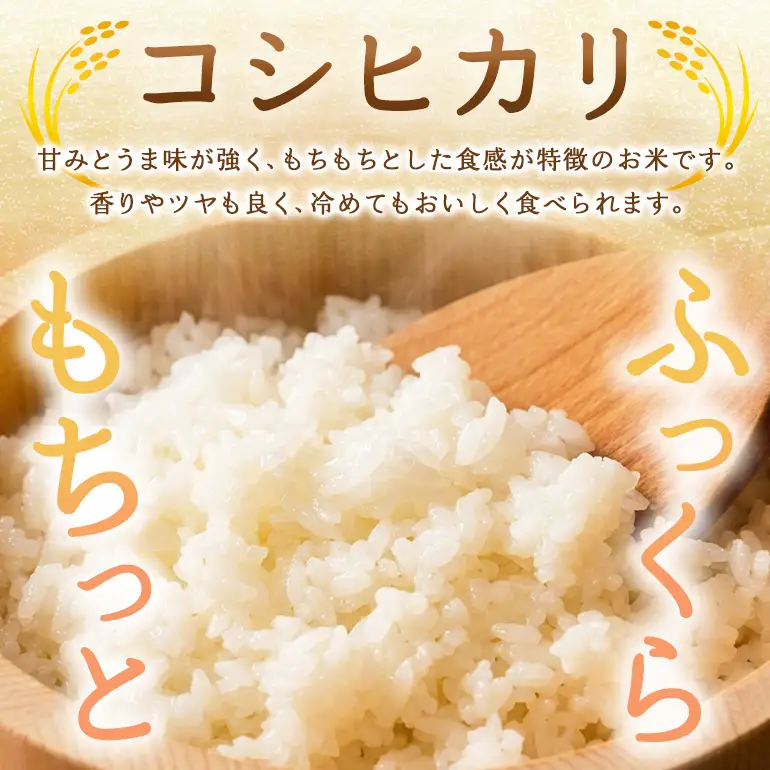 米 10kg 精米 八百津町産コシヒカリ！ 数量限定 (459) | 岐阜県八百津