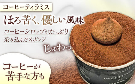 ティラミス6個コーヒー ケーキ ティラミス[XBD010]