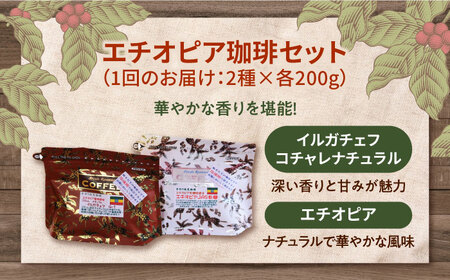 【全3回】エチオピアコーヒー2種 豆or粉 コーヒー[XBE054]