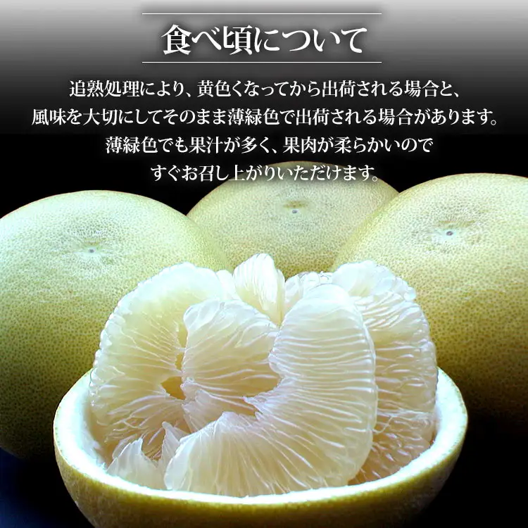 【令和8年9月中旬発送開始】水晶文旦 3kg 文旦 先行受付 ku-0055
