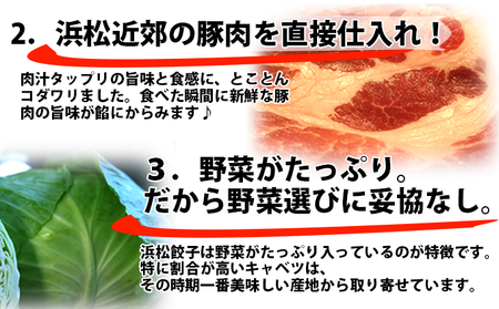 浜松餃子　120粒（定番の味　30粒×4袋）　総重量2.4kg！ 