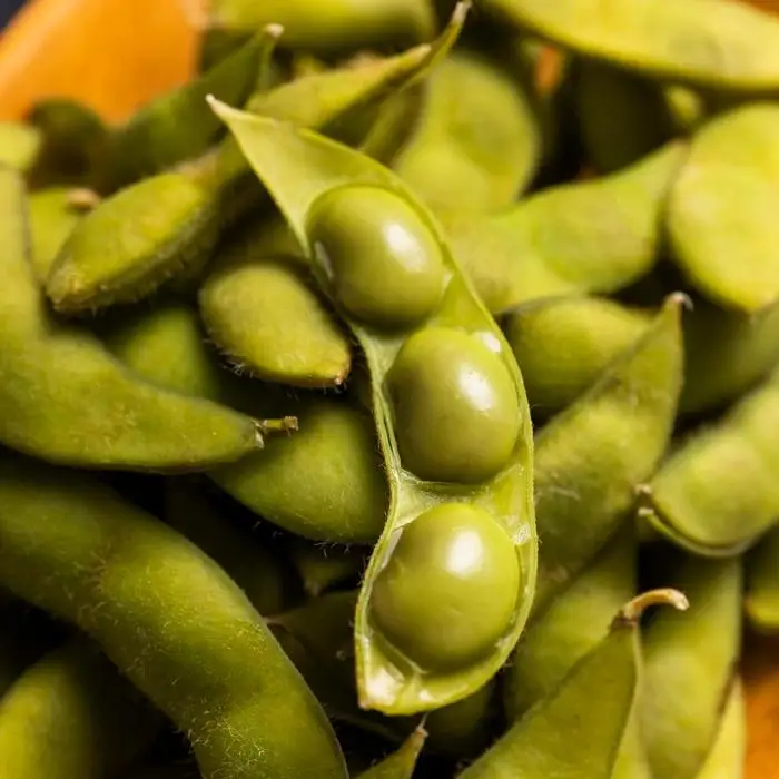 先行予約【新潟県産】くろさき茶豆　【１ｋｇ】　2026年8月～順次発送 新潟 新潟県 茶豆 枝豆 えだまめ お取り寄せ グルメ 1kg 1キロ おつまみ 豆