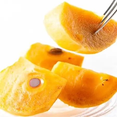 柿【先行受付】柳フルーツ園(訳あり)富有柿 約10kg_果物・フルーツ 柿（カキ）  かき_【1457253】