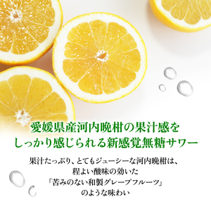 大人のCRAFT無糖サワー 河内晩柑 350ml×24本 父の日 チューハイ 柑橘 酒 アルコール 無糖  酎ハイ クラフトサワー 河内晩柑 愛南ゴールド アシード アスター 愛媛県 愛南町 Yショップ 