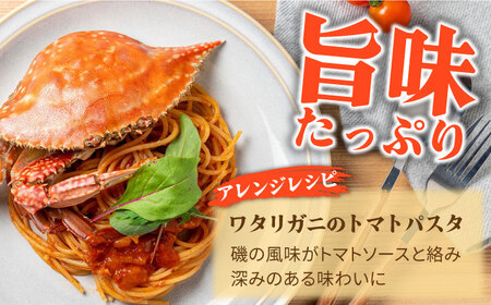 【2026年7月-発送】有明海のワタリガニ 200g-300g 長栄丸水産 [SFM001] ワタリガニ