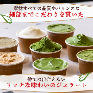 抹茶ジェラート・お茶アイスクリーム 食べ比べ8個セット  抹茶スイーツ