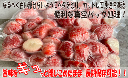 いちご とちおとめ 約1kg×8パック 計8kg いちご レシピ付 冷凍