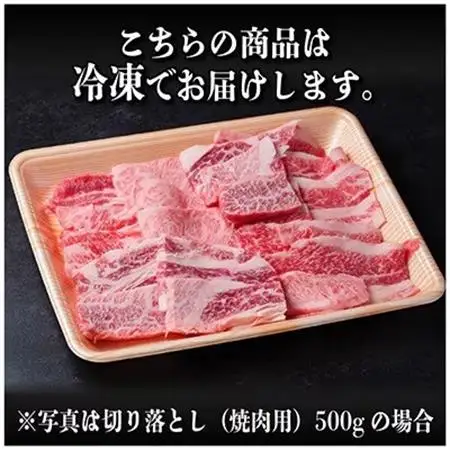 飛騨牛 厳選切り落とし(焼肉・BBQ用) 500g　訳あり 黒毛和牛　4～A5等級_肉 飛騨牛 牛肉 うし ビーフ_【配送不可地域：離島】【1487352】