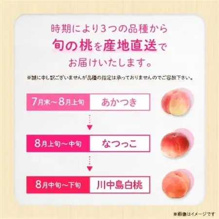 【2026年発送】JA中野市直送!ご家庭用　訳あり『桃』2.1kg以上(6～8玉)【配送不可地域：離島】【1482682】