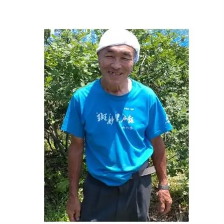 信州　中野市産特選ブルーベリー　バラ詰め 2kg箱【配送不可地域：離島】【1494239】