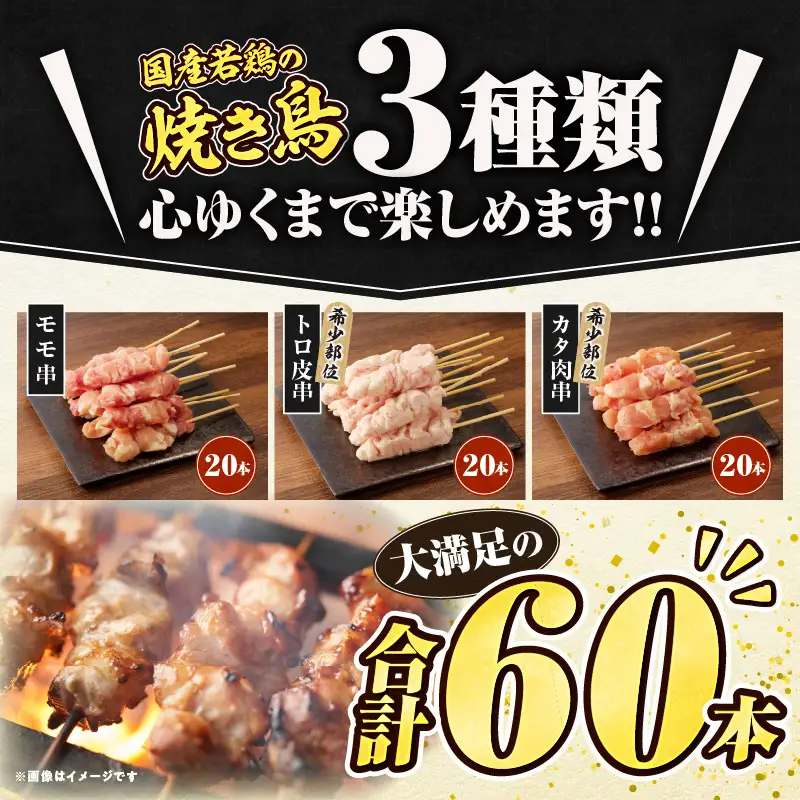 若鶏の焼き鳥3種(60本)盛り合わせ セット 詰め合わせ 食べ比べ 味比べ 焼鳥 鶏肉 肉 お肉 モモ トロ皮 カタ肉 串 串焼き BBQ キャンプ グランピング アウトドア グルメ おすすめ 宮崎市