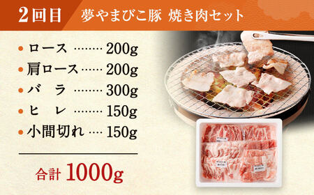 【定期便】「夢やまびこ豚」鍋セット 焼肉セット 各2回 | 豚肉 お肉 しゃぶしゃぶ 焼肉 冷蔵 幸田町 国産 送料無料