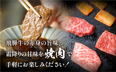 飛騨牛 焼肉 切り落とし 600g 焼肉  [S767]
