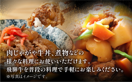 飛騨牛 切り落とし 500g 訳あり 駿河屋 訳あり [S768]
