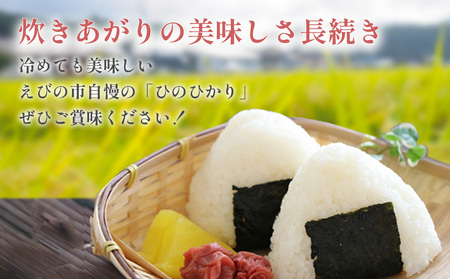 【令和7年産】【年間定期便】 えびの産 ひのひかり 5kg×12ヶ月 合計60kg お米  精米 白米 ご飯 国産 宮崎県産 九州産 送料無料こめ おにぎり お弁当