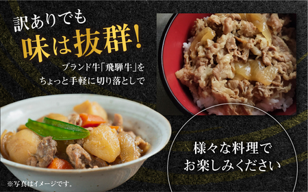 《定期便》全6回 飛騨牛 切り落とし 500g 訳あり 飛騨牛 [S713]