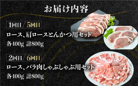 《定期便》全8回 白川郷 結旨豚 食べ比べ とんかつ しゃぶしゃぶ ブロック 切り落とし 食べ比べ バラ肉 ロース、肩ロース 豚肉 国産 白川村 真空パック 小分け 角煮 焼肉 ブランド豚 ゆいうまぶた 抗生物質 合成抗菌剤不使用 108000円 [S732] 豚肉 定期便 豚肉 定期便 豚肉 定期便 豚肉 定期便 