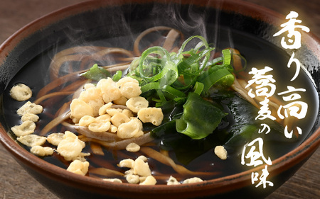 若狭越前そば4人前 1パック250g（めん100g×2、つゆ25g×2）× 2パック【引越し 年越し 年末 お中元 お歳暮 母の日 父の日 プレゼント お祝い 引き出物 お返し ギフト ハレの日 子供の日 お礼 敬老の日そば 蕎麦 ソバ 麺類 小分け 使いやすい】 [m04-a009]